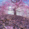 Fatemeh246