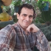 hadirahiminejad136