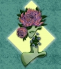 VenusDoom