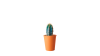 Remi.design