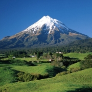 alireza_515
