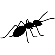 abolfazlmarj