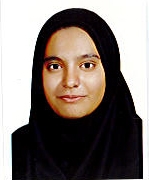 lsadeghi913