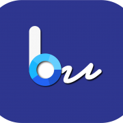 Blue_Programming