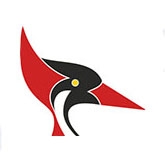 Darkoob-20
