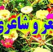 saeed1212